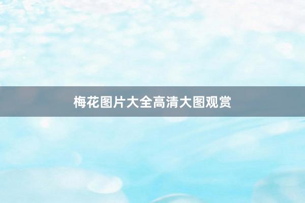 梅花图片大全高清大图观赏