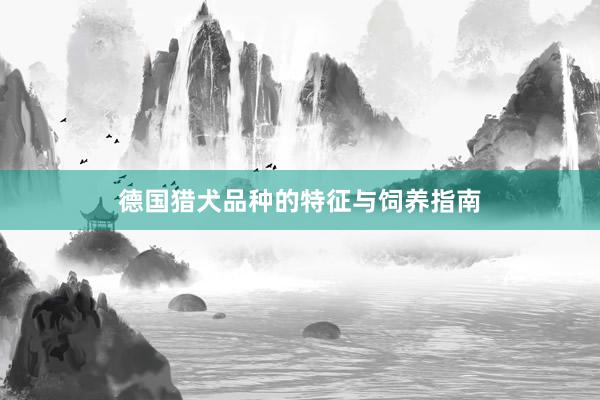 德国猎犬品种的特征与饲养指南
