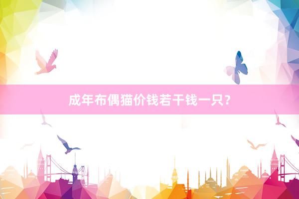 成年布偶猫价钱若干钱一只？