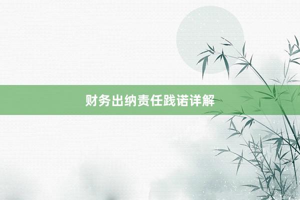 财务出纳责任践诺详解
